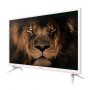 Nevir 7711 TV 24" LED HD 12V VGA USB HDMI blanca